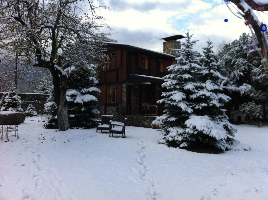 Sapanca Tas Ev Bed & Breakfast Darica  Exterior photo